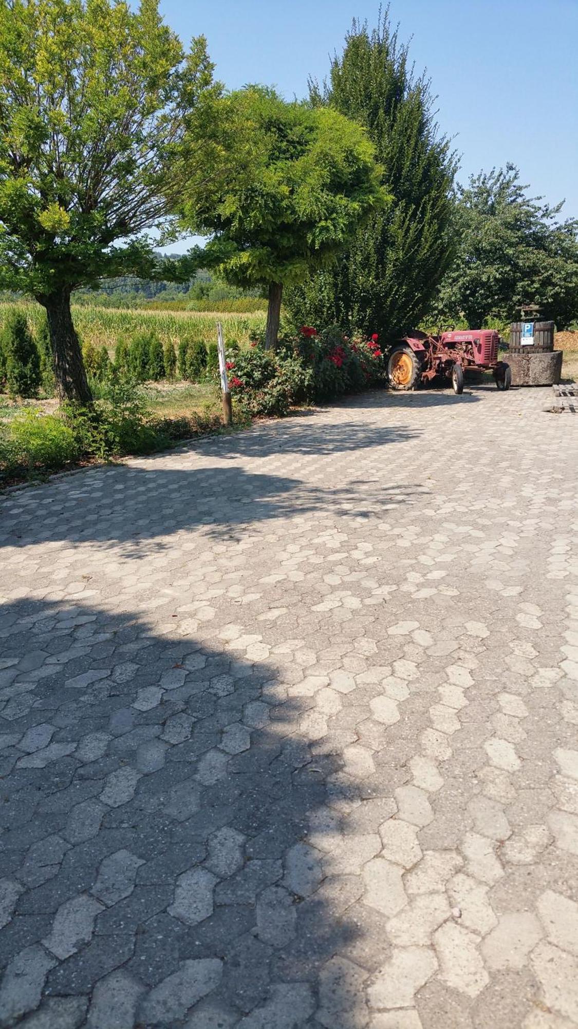 Ferienwohnung Rombachs Spatzennest Herbolzheim Zewnętrze zdjęcie